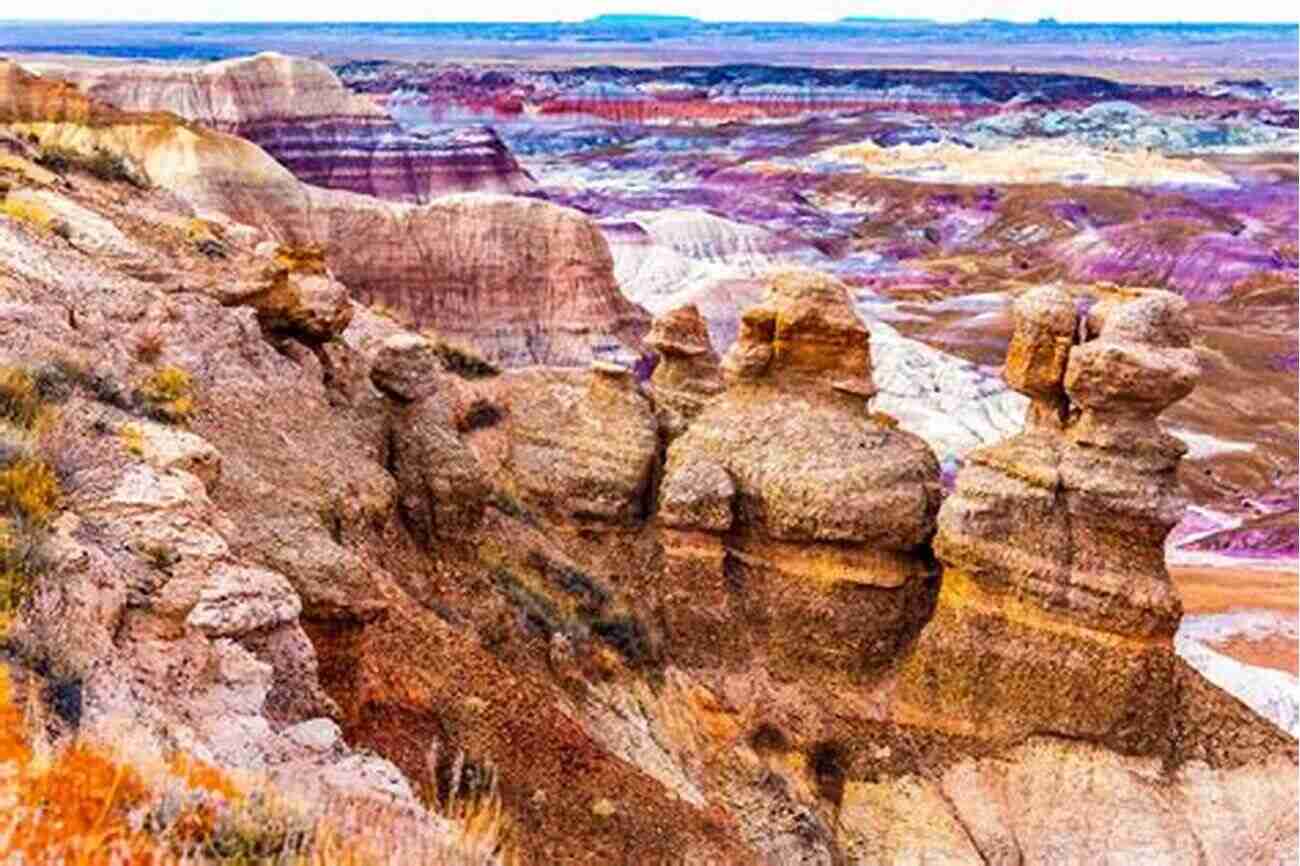 Petrified Forest National Park Arizona Parks Monuments Forests Wilderness Areas Scenic Roads Ghost Towns More: Real Time Search Engine Results With Interactive Maps