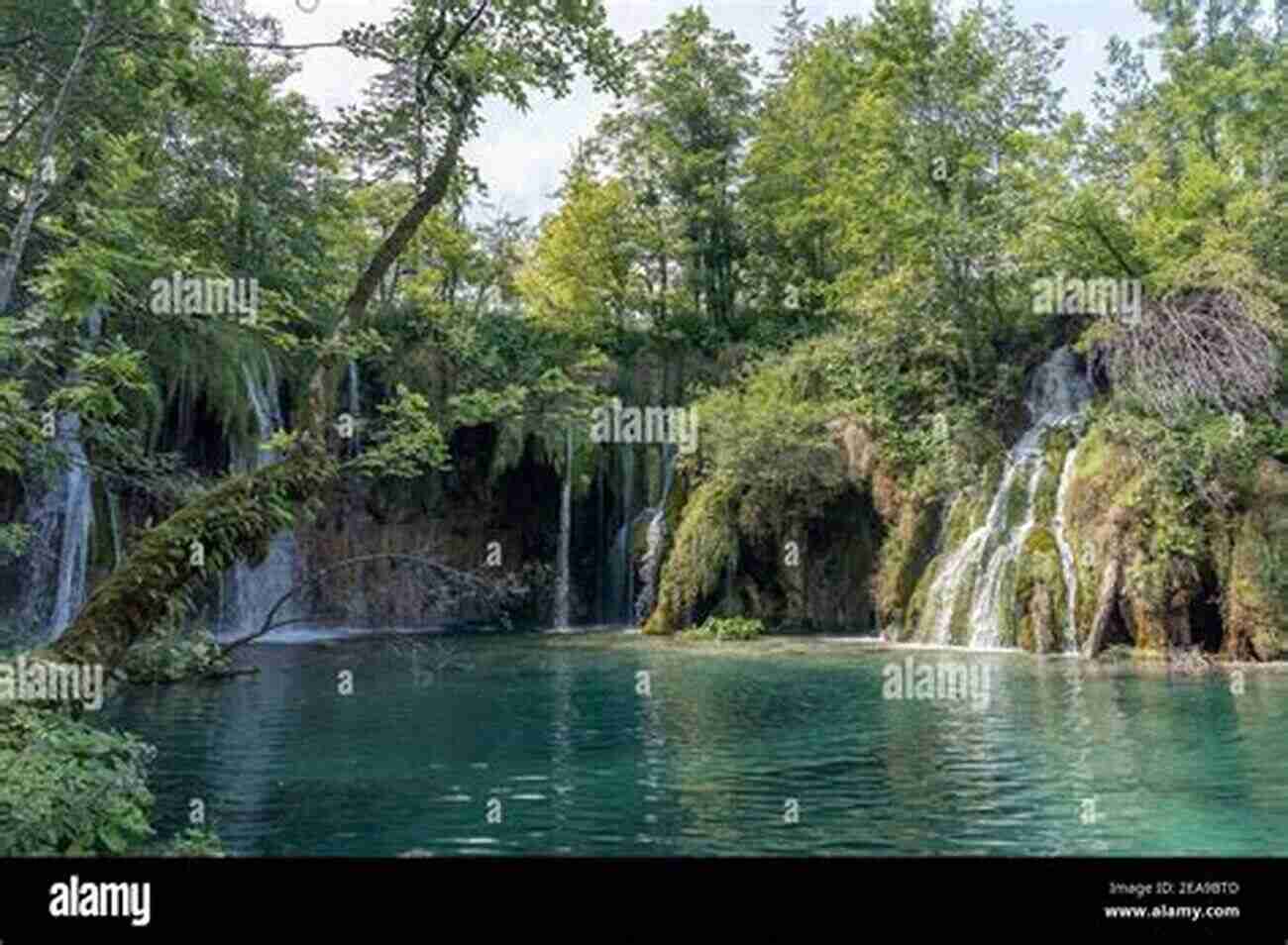 Plitvice Lakes' Stunning Cascades In 2020 Croatia Traveller S Zagreb And Plitvice Lakes 2020