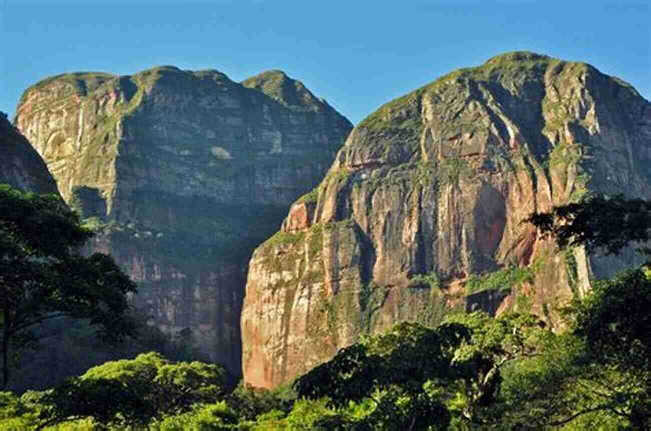 Prepare For An Adventurous Hike In Amboro National Park Nature Travel Guide: Wildlife Of Amboro National Park Bolivia (Nature Travel Guide Series)