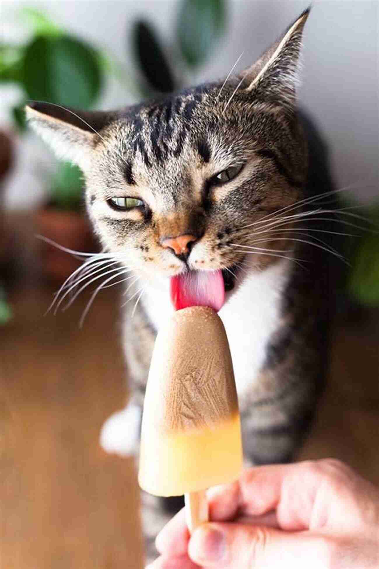 Purrfect Popsicles Refreshing Popsicles For Cats Pet Food: 16 Dessert Recipes To Make You Smile