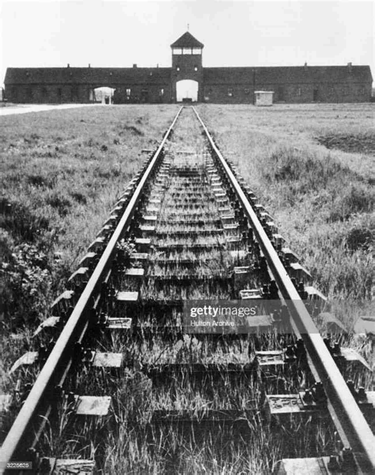 Railway Tracks Leading To Auschwitz: A Grim Reminder Of The Holocaust In A Land Of Forest And Darkness: The Holocaust Story Of Two Jewish Partisans (Holocaust Survivor Memoirs World War II)