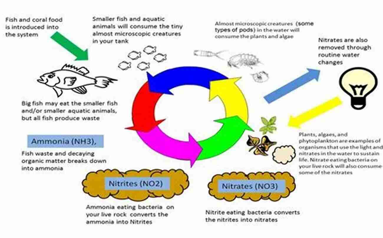 Reef Tank Nitrogen Reef Tank Nitrogen (Reef Tank Guides)