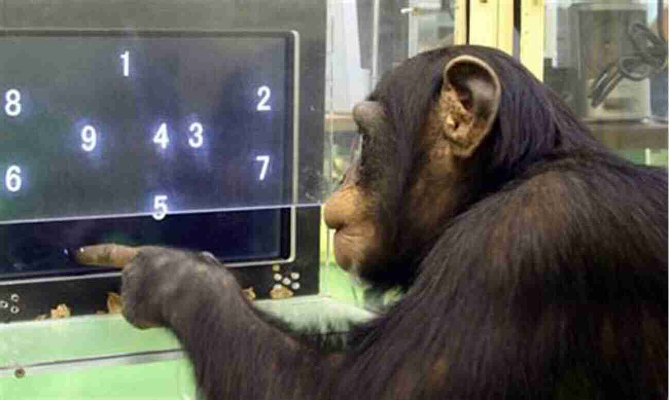 Sammy The Clever Chimp Betty Friends: My Life At The Zoo