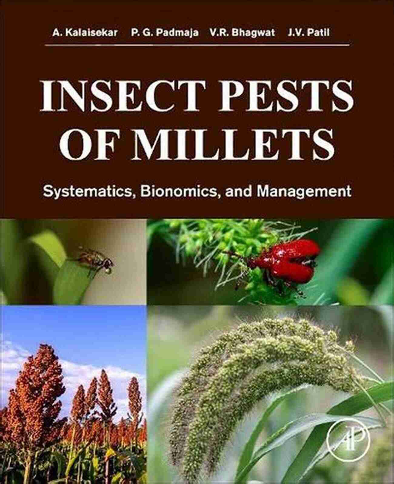 Shoot Fly Insect Pests Of Millets: Systematics Bionomics And Management