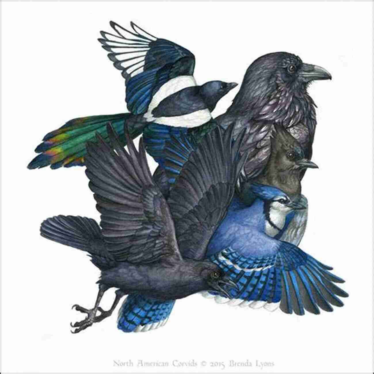 Spectacular Encounters With The Majestic Corvids Of North America Wise Guys: Encounters With The Corvids Of North America