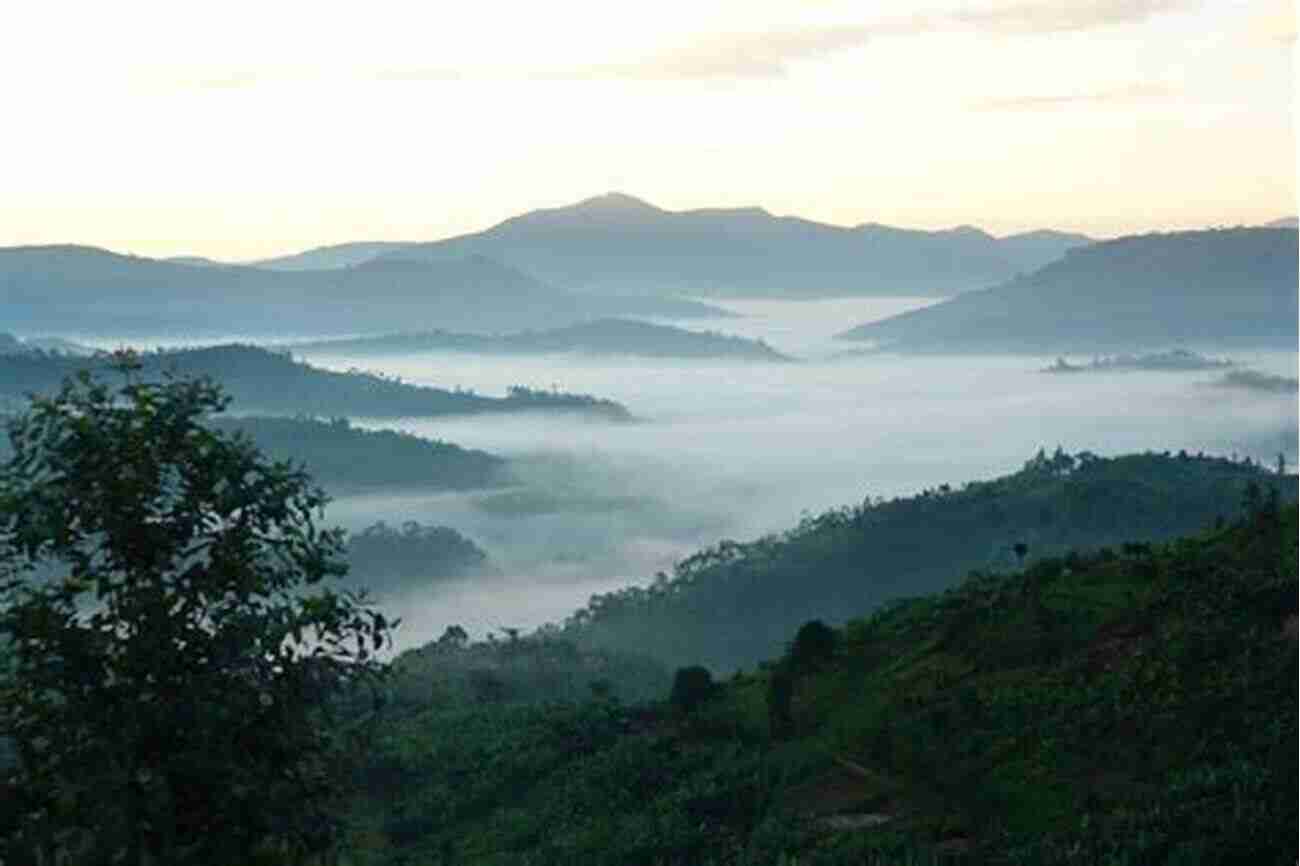 Stunning Rwandan Landscape With Rolling Hills And Volcanoes 49 Ways To Make A Living In Rwanda