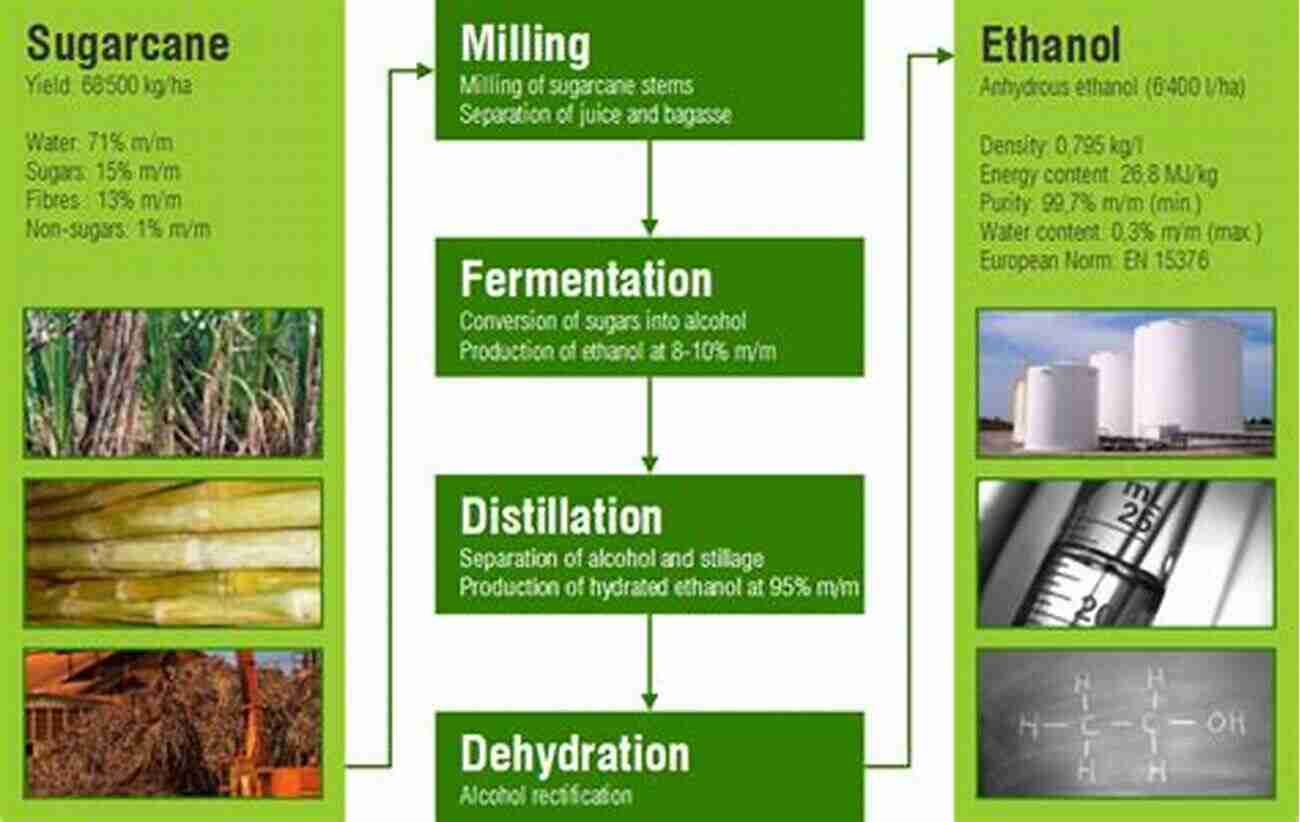 Sugarcane Ethanol Fueling A Sustainable Future Sugarcane (World Agriculture 2)