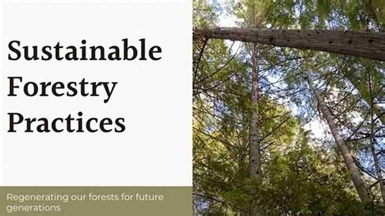 Sustainable Forestry Practices In The Nordic Region The Future Use Of Nordic Forests: A Global Perspective