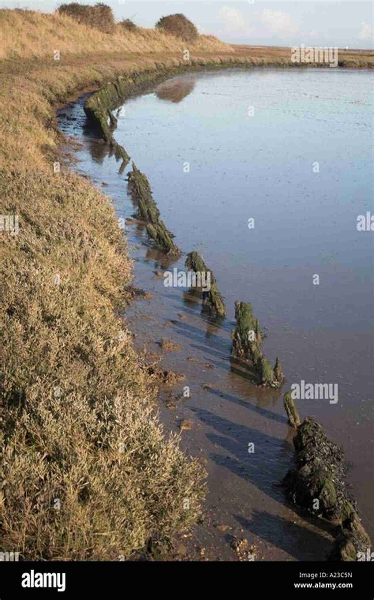 The Tranquil Marshlands Of Orford Ness, With Their Still Waters Reflecting The Beauty Of The Surrounding Environment. Orford Ness 30 Indicative Photographs