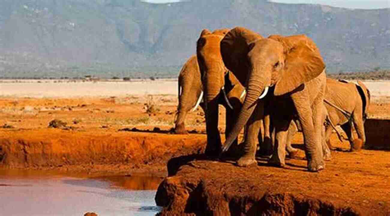 Tsavo National Park, A Haven For Wildlife Enthusiasts, Home To Diverse Animal Species Including Elephants, Lions, And Cheetahs Tour Coastal Kenya: Travel Guide