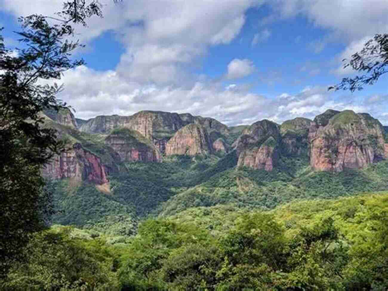 Venture Into The Depths Of Amboro National Park Nature Travel Guide: Wildlife Of Amboro National Park Bolivia (Nature Travel Guide Series)