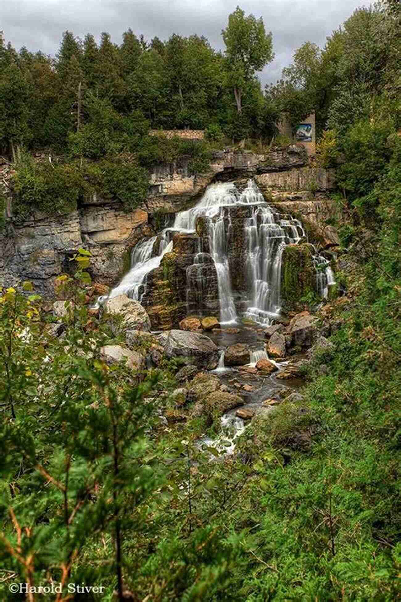 Wildflowers Surrounding Harold Stiver Falls Ontario S Waterfalls Harold Stiver