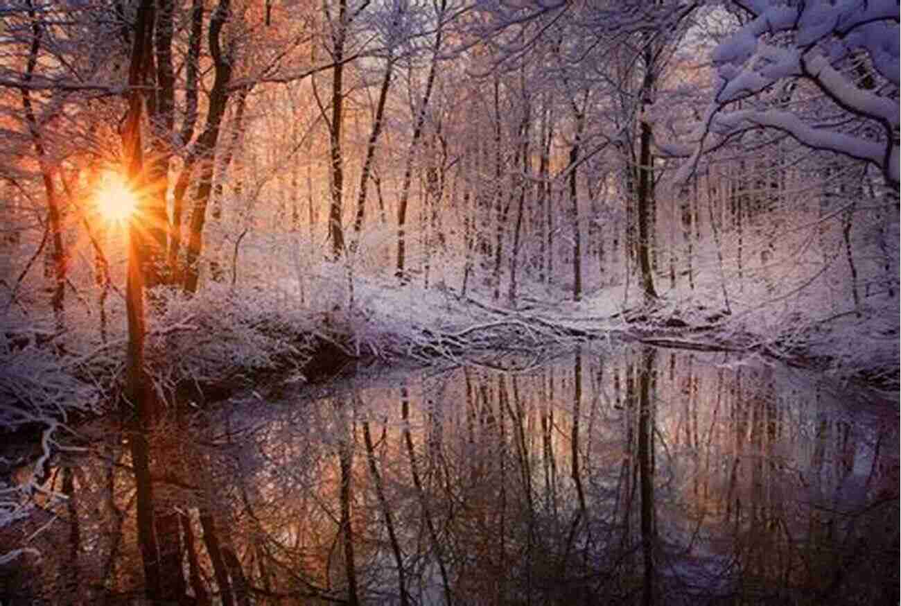 Winter A Season Of Inner Reflection To Every Thing A Season: Shibe Park And Urban Philadelphia 1909 1976