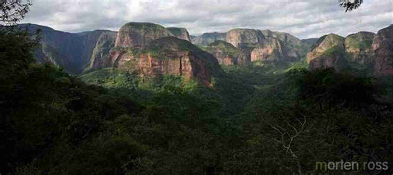 Witness The Spectacular Sunset Views In Amboro National Park Nature Travel Guide: Wildlife Of Amboro National Park Bolivia (Nature Travel Guide Series)