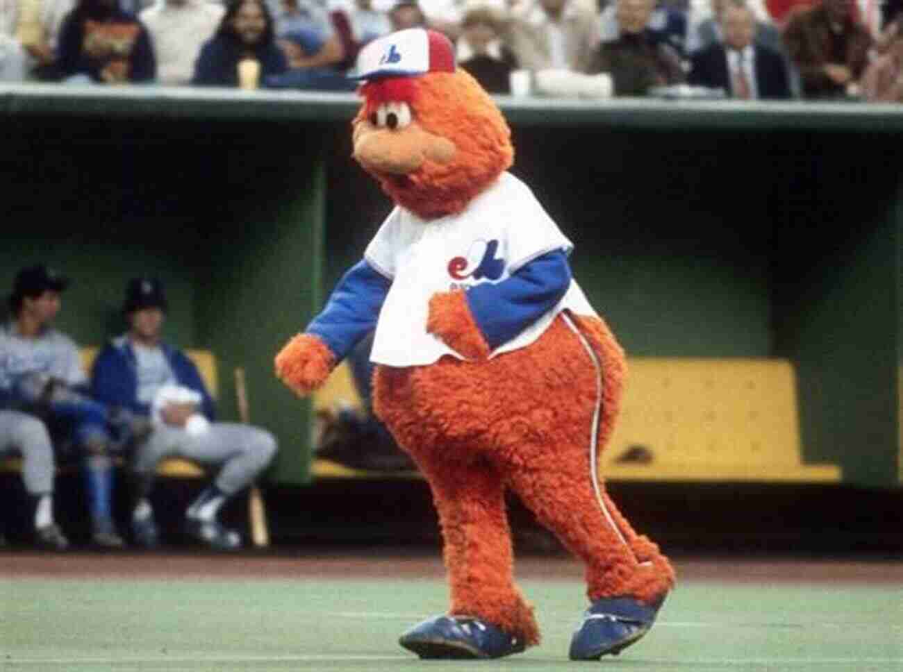 Youppi! The Beloved Mascot Of The Montreal Expos Up Up And Away: The Kid The Hawk Rock Vladi Pedro Le Grand Orange Youppi The Crazy Business Of Baseball And The Ill Fated But Unforgettable Montreal Expos