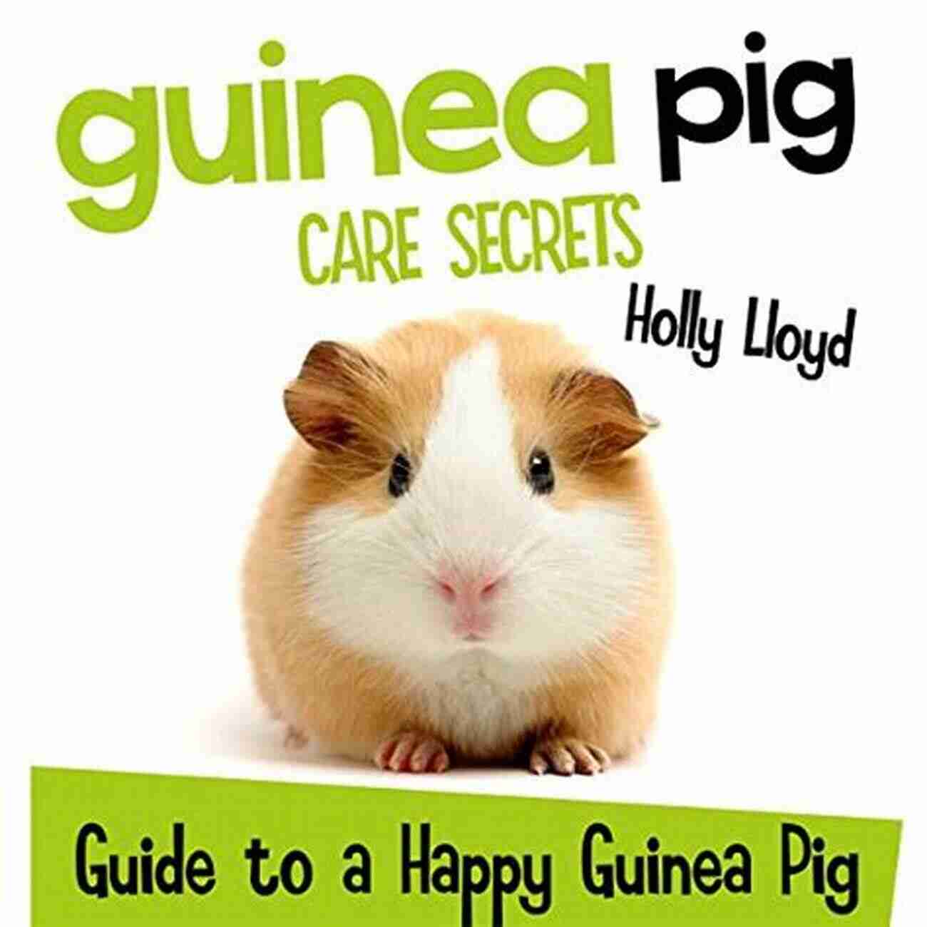 Guinea Pig Care Secrets Guinea Pig Care Secrets: Kids Guide To A Happy Guinea Pig (Kids Pet Care Guides 3)