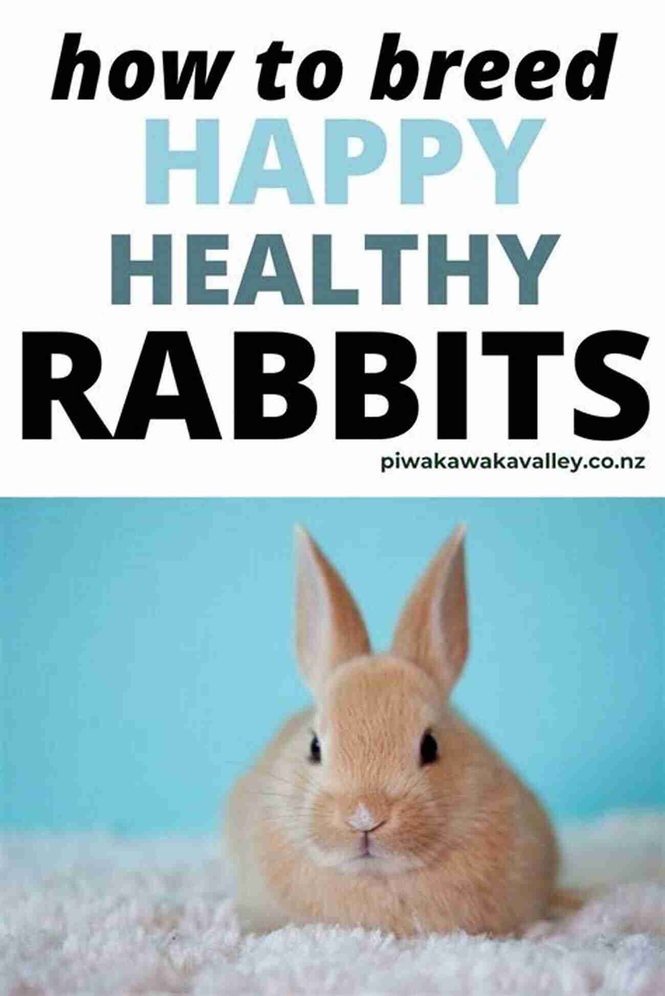 How To Raise Healthy And Happy Rabbits Raising Rabbits: Beginners Guide To Raising Healthy And Happy Rabbits