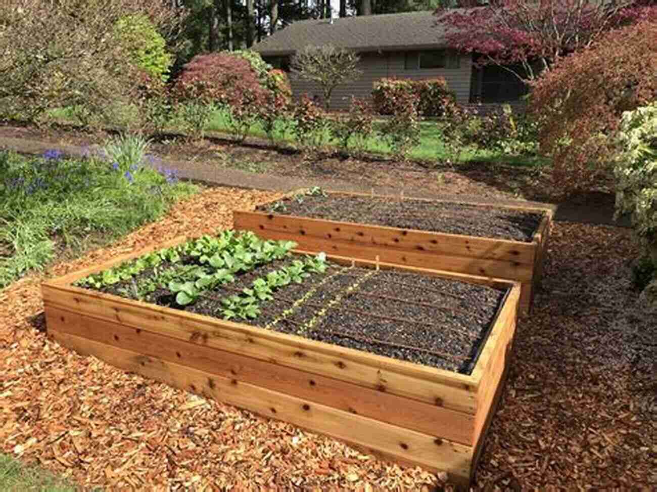 Raised Bed Garden With Various Plants DIY Survival Projects : The Top DIY Projects For The Self Sufficient Homeowner