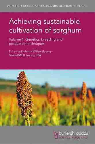 Achieving Sustainable Cultivation Of Sorghum Volume 2: Sorghum Utilization Around The World (Burleigh Dodds In Agricultural Science 32)