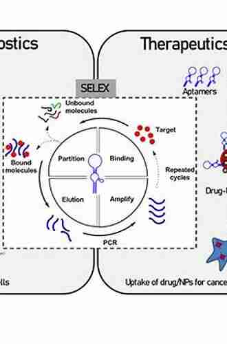 Biosensors Based on Aptamers and Enzymes (Advances in Biochemical Engineering/Biotechnology 140)