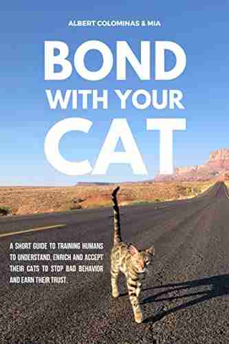 Bond With Your Cat: OutdoorBengal