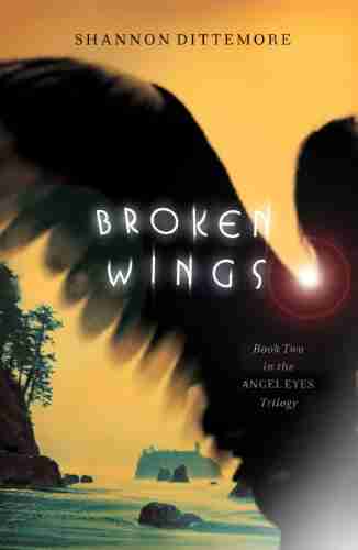 Broken Wings (An Angel Eyes Novel 2)