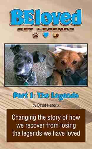 BEloved Pet Legends Part 1: The Legends: Changing the story of how we recover from losing the legends we have loved