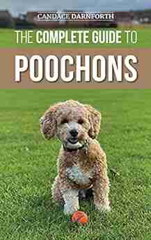 The Complete Guide To Poochons: Choosing Training Feeding Socializing And Loving Your New Poochon (Bichon Poo) Puppy