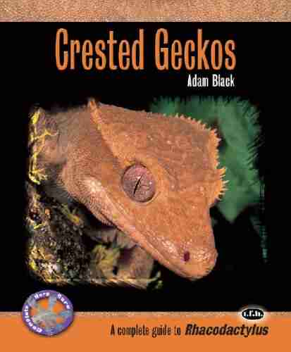 Crested Geckos (Complete Herp Care)