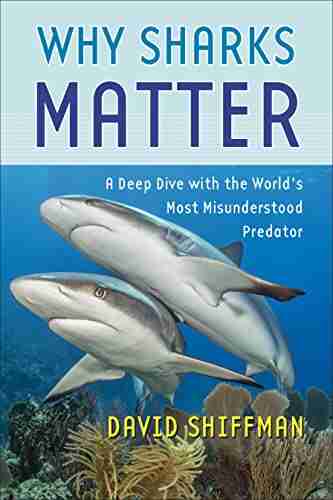 Why Sharks Matter: A Deep Dive With The World S Most Misunderstood Predator