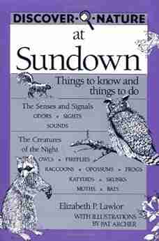 Discover Nature At Sundown (Discover Nature Series)