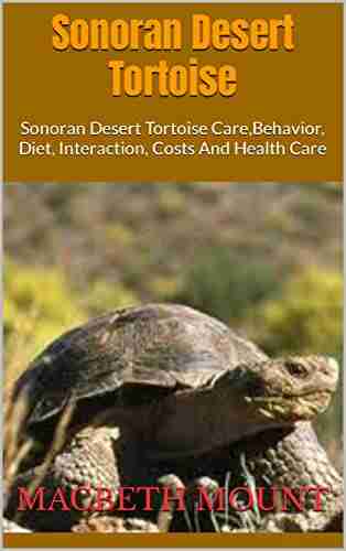 Sonoran Desert Tortoise : Sonoran Desert Tortoise Care Behavior Diet Interaction Costs And Health Care