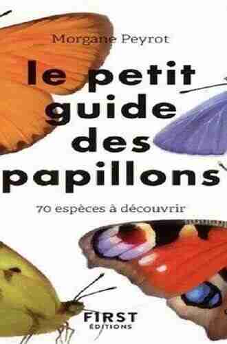 Le Petit Guide Des Papillons