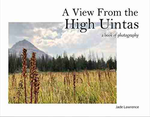 A View From The High Uintas: A Of Photography