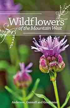 Wildflowers Of The Mountain West