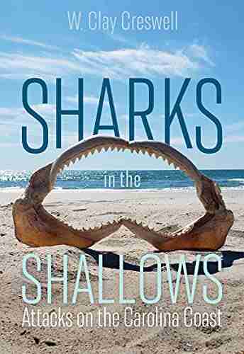 Sharks In The Shallows: Attacks On The Carolina Coast