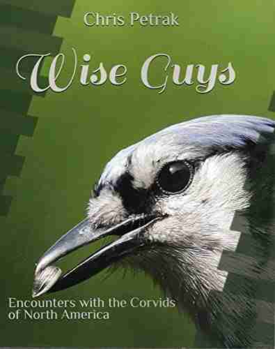 Wise Guys: Encounters With The Corvids Of North America