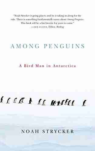 Among Penguins: A Bird Man In Antarctica