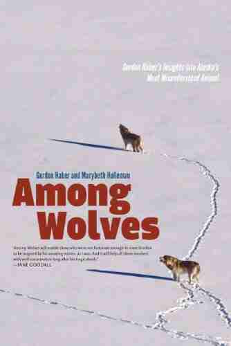 Among Wolves: Gordon Haber s Insights into Alaska s Most Misunderstood Animal