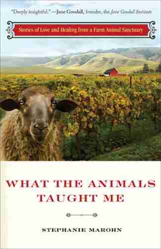 What The Animals Taught Me: Stories Of Love And Healing From An Animal Santuary