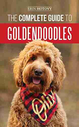 The Complete Guide to Goldendoodles: How to Find Train Feed Groom and Love Your New Goldendoodle Puppy