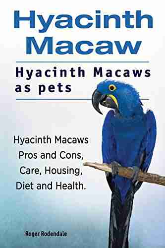 Hyacinth Macaws as pets Hyacinth Macaw Hyacinth Macaws Pros and Cons Housing Care Health and Diet