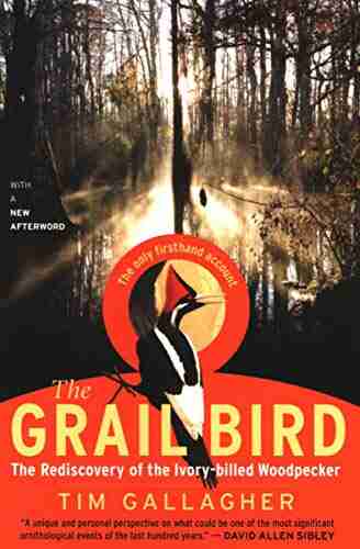 The Grail Bird: The Rediscovery Of The Ivory Billed Woodpecker