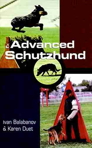 Advanced Schutzhund Ivan Balabanov