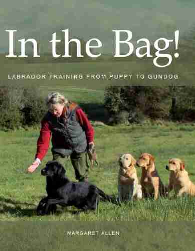 In the Bag : Labrador Training from Puppy to Gundog