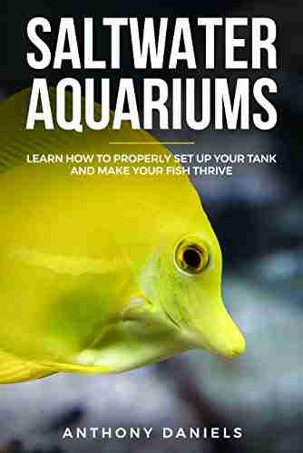 Saltwater Aquariums: Learn How To Properly Set Up Your Tank And Make Your Fish Thrive