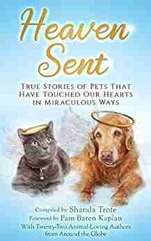 Heaven Sent: True Stories of Pets That Have Touched Our Hearts in Miraculous Ways