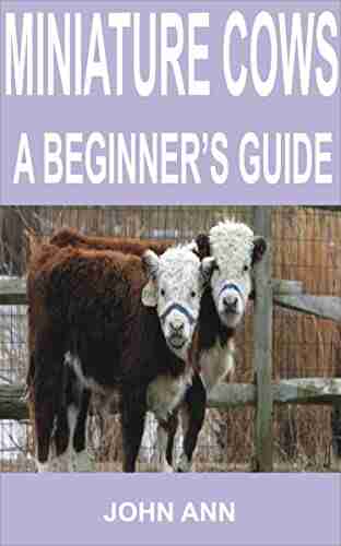 Miniature cows: A Beginner s Guide