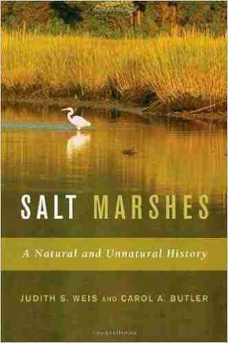 Salt Marshes: A Natural and Unnatural History