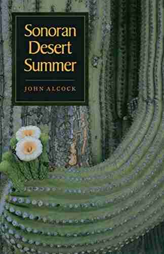 Sonoran Desert Summer John Alcock